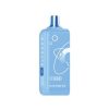 Elfbar EW16000 Premium Replacement Pod- Blue Razz
