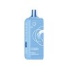 Elfbar EW16000 Premium Replacement Pod- Grape Raspberry